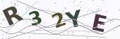 CAPTCHA security code